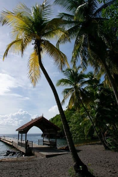 Martinique 2023 8 1 1