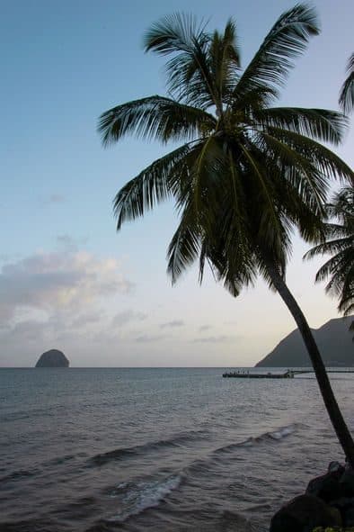 Martinique 2023 107 1 1